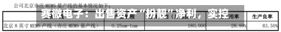 赛微电子：出售资产“扮靓”净利	，实控人拟套现逾11亿元-第3张图片