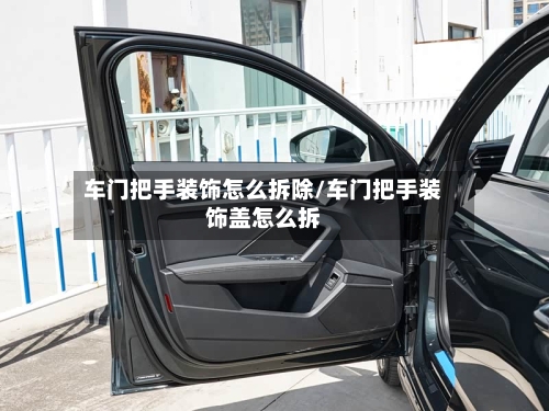 车门把手装饰怎么拆除/车门把手装饰盖怎么拆-第2张图片