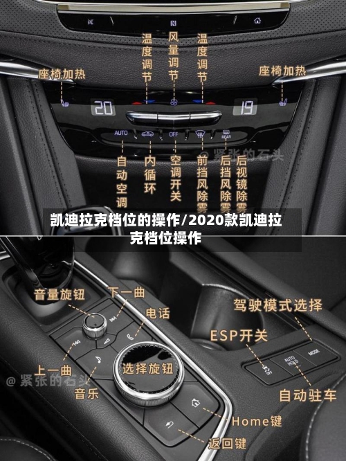 凯迪拉克档位的操作/2020款凯迪拉克档位操作-第2张图片