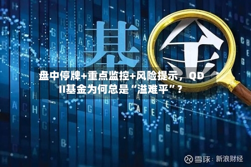 盘中停牌+重点监控+风险提示，QDII基金为何总是“溢难平	”？-第1张图片