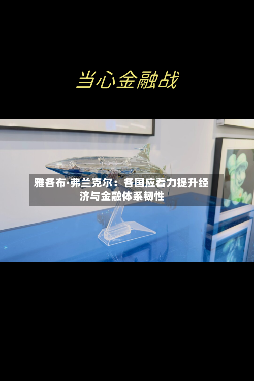 雅各布·弗兰克尔:各国应着力提升经济与金融体系韧性-第1张图片