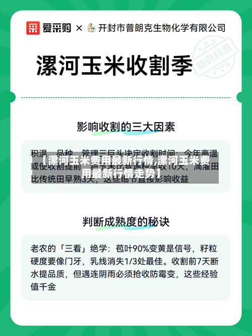 【漯河玉米费用最新行情,漯河玉米费用最新行情走势】-第2张图片