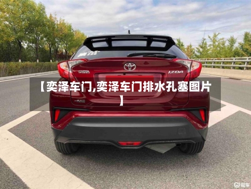 【奕泽车门,奕泽车门排水孔塞图片】-第2张图片