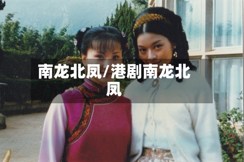 南龙北凤/港剧南龙北凤-第1张图片