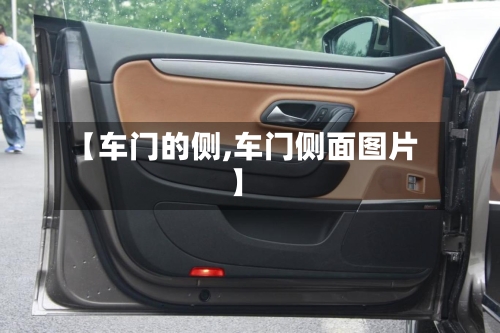 【车门的侧,车门侧面图片】-第2张图片