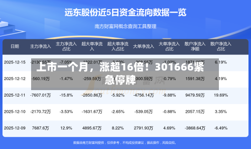 上市一个月，涨超16倍！301666紧急停牌-第2张图片