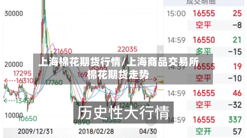 上海棉花期货行情/上海商品交易所棉花期货走势-第3张图片