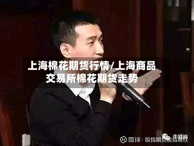 上海棉花期货行情/上海商品交易所棉花期货走势-第2张图片