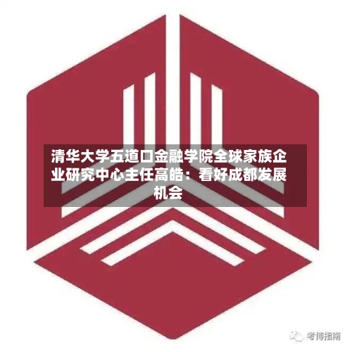 清华大学五道口金融学院全球家族企业研究中心主任高皓：看好成都发展机会-第2张图片