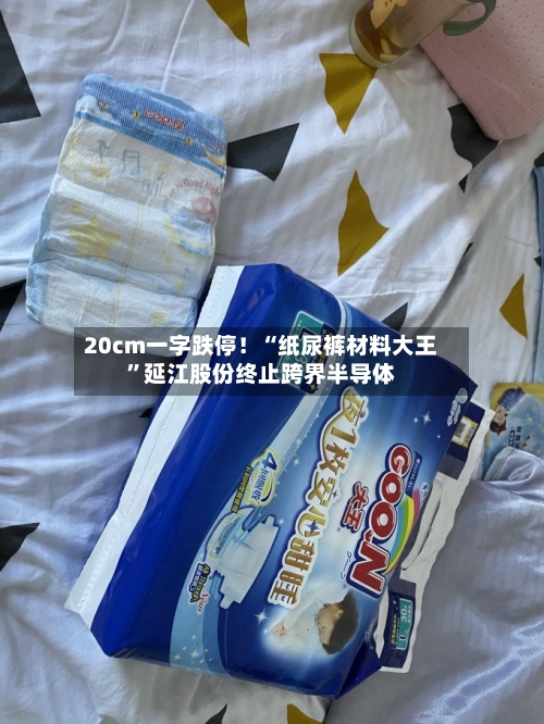 20cm一字跌停！“纸尿裤材料大王”延江股份终止跨界半导体-第3张图片