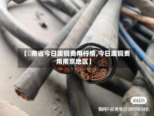 【泀南省今日废铜费用行情,今日废铜费用南京地区】-第1张图片