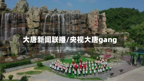 大唐新闻联播/央视大唐gang-第1张图片