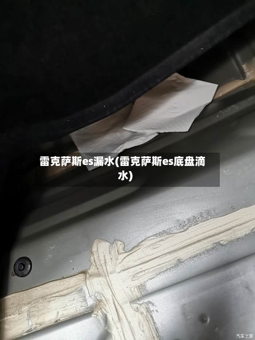雷克萨斯es漏水(雷克萨斯es底盘滴水)-第2张图片