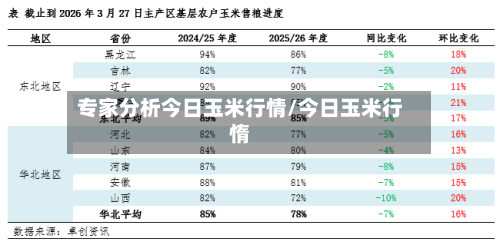 专家分析今日玉米行情/今日玉米行惰-第2张图片