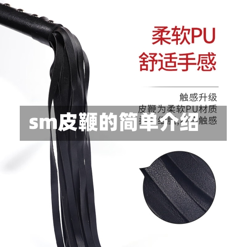sm皮鞭的简单介绍-第1张图片