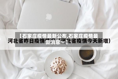 【石家庄疫情最新公布,石家庄疫情最新消息一】-第2张图片