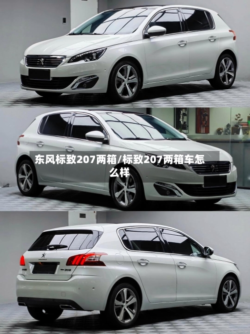 东风标致207两箱/标致207两箱车怎么样-第2张图片