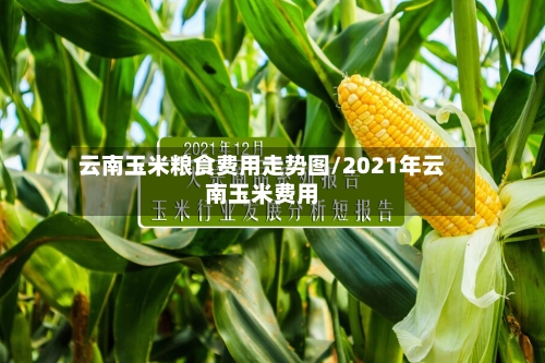 云南玉米粮食费用走势图/2021年云南玉米费用-第3张图片