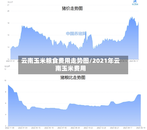 云南玉米粮食费用走势图/2021年云南玉米费用-第1张图片