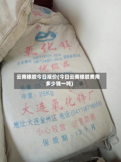 云南橡胶今日报价(今日云南橡胶费用多少钱一吨)-第1张图片