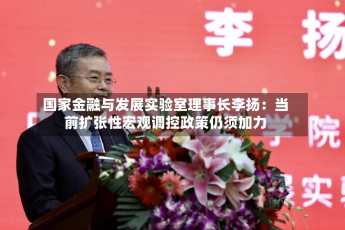 国家金融与发展实验室理事长李扬:当前扩张性宏观调控政策仍须加力-第1张图片
