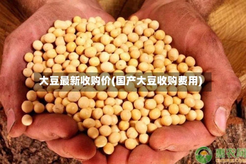 大豆最新收购价(国产大豆收购费用)-第1张图片