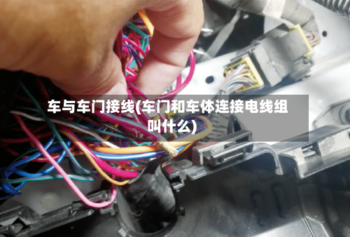 车与车门接线(车门和车体连接电线组叫什么)-第1张图片