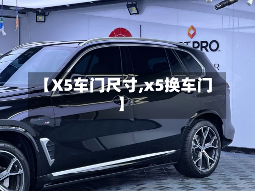 【X5车门尺寸,x5换车门】-第2张图片
