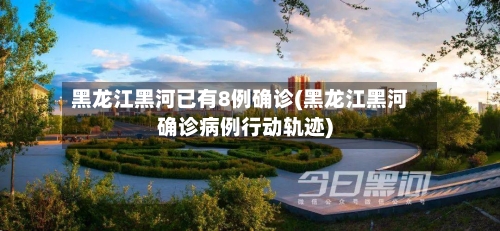 黑龙江黑河已有8例确诊(黑龙江黑河确诊病例行动轨迹)-第1张图片