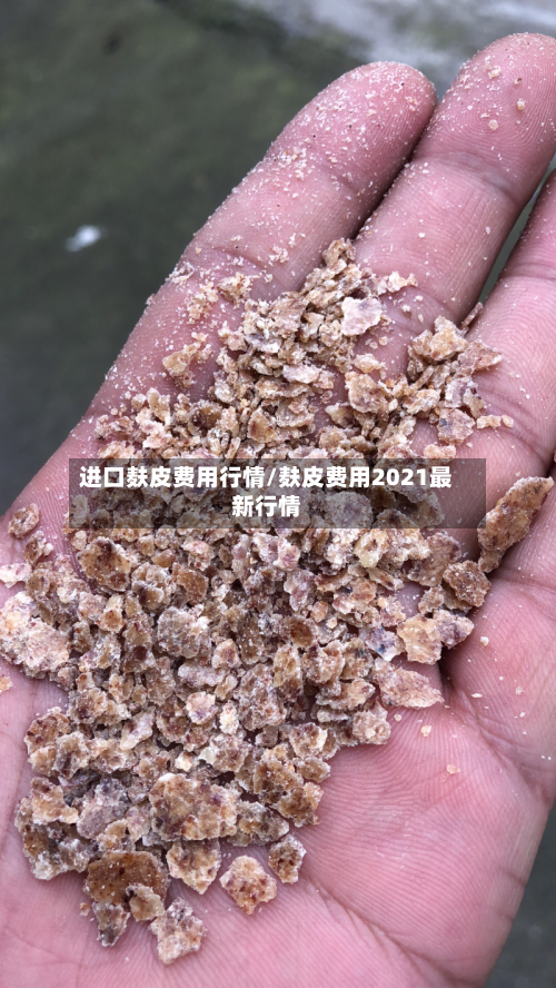 进口麸皮费用行情/麸皮费用2021最新行情-第2张图片