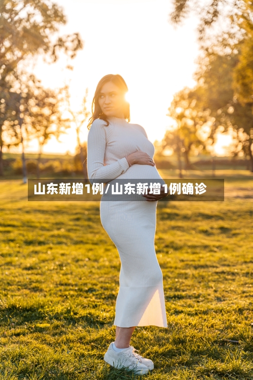山东新增1例/山东新增1例确诊-第2张图片