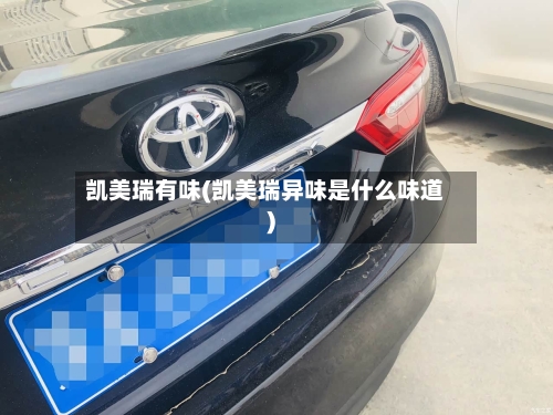 凯美瑞有味(凯美瑞异味是什么味道)-第1张图片
