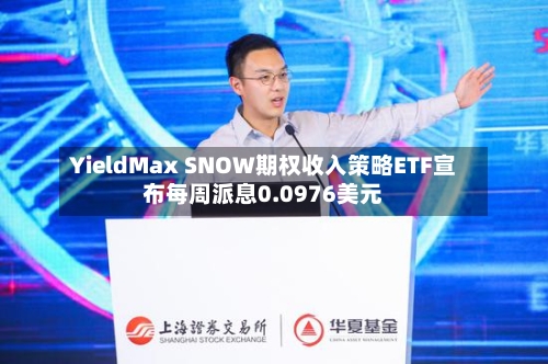 YieldMax SNOW期权收入策略ETF宣布每周派息0.0976美元-第2张图片