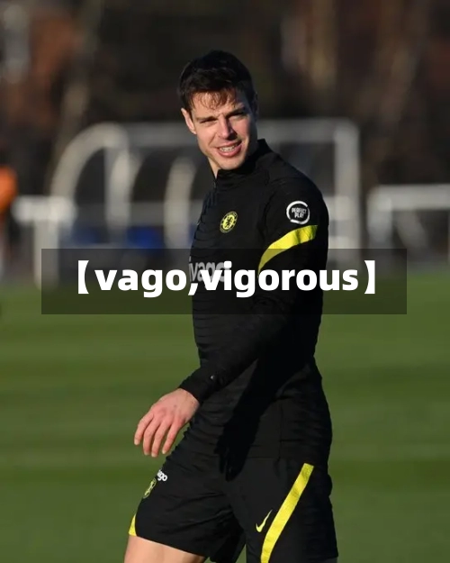 【vago,vigorous】-第3张图片