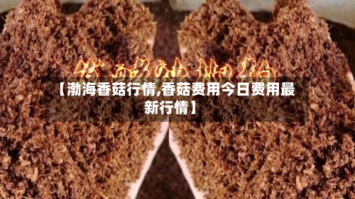【渤海香菇行情,香菇费用今日费用最新行情】-第1张图片