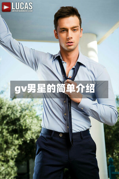 gv男星的简单介绍-第3张图片