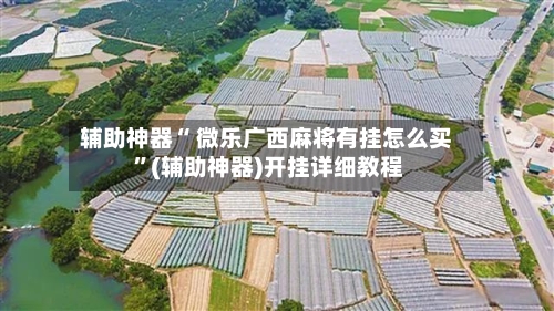 辅助神器“ 微乐广西麻将有挂怎么买 ”(辅助神器)开挂详细教程-第2张图片