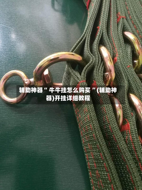 辅助神器“ 牛牛挂怎么购买 ”(辅助神器)开挂详细教程-第2张图片