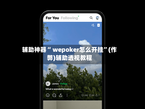 辅助神器“ wepoker怎么开挂”(作弊)辅助透视教程-第3张图片