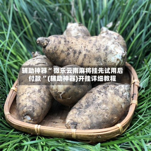 辅助神器“ 微乐云南麻将挂先试用后付款 ”(辅助神器)开挂详细教程-第1张图片