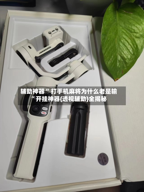 辅助神器“ 打手机麻将为什么老是输”开挂神器{透视辅助}全揭秘-第2张图片