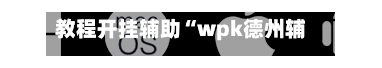 教程开挂辅助“wpk德州辅助”开挂神器{透视辅助}全揭秘-第2张图片