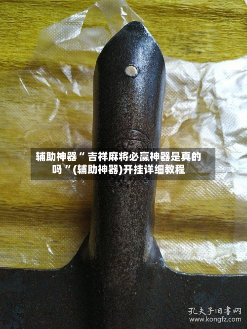 辅助神器“ 吉祥麻将必赢神器是真的吗 ”(辅助神器)开挂详细教程-第3张图片