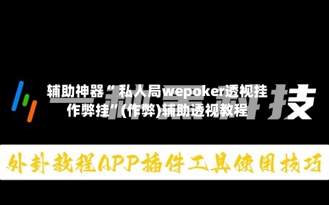 辅助神器“ 私人局wepoker透视挂作弊挂”(作弊)辅助透视教程-第2张图片