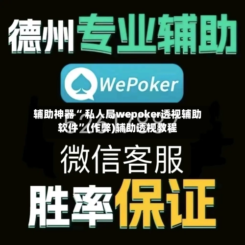 辅助神器“ 私人局wepoker透视辅助软件”(作弊)辅助透视教程-第2张图片