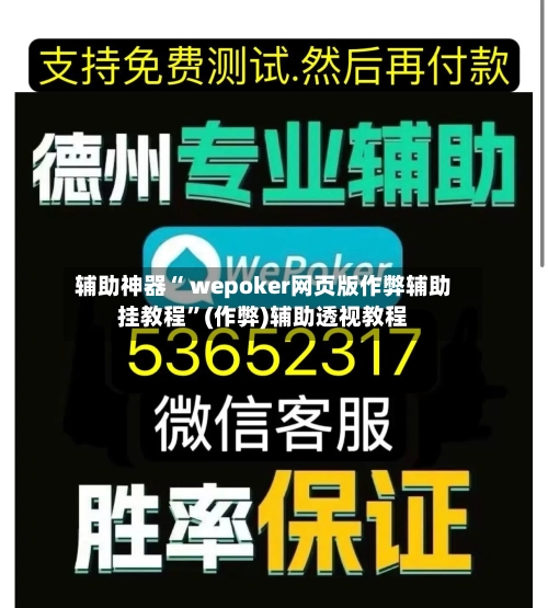 辅助神器“ wepoker网页版作弊辅助挂教程	”(作弊)辅助透视教程-第3张图片