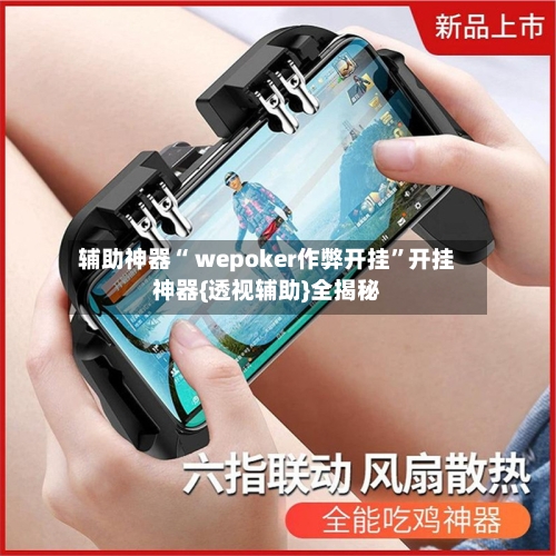辅助神器“ wepoker作弊开挂”开挂神器{透视辅助}全揭秘-第1张图片