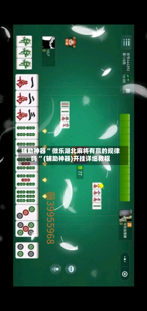 辅助神器“ 微乐湖北麻将有赢的规律吗 ”(辅助神器)开挂详细教程-第1张图片