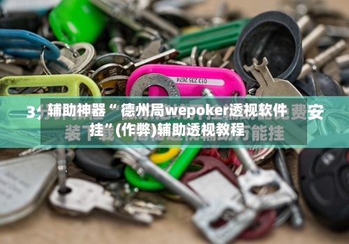 辅助神器“ 德州局wepoker透视软件挂”(作弊)辅助透视教程-第2张图片