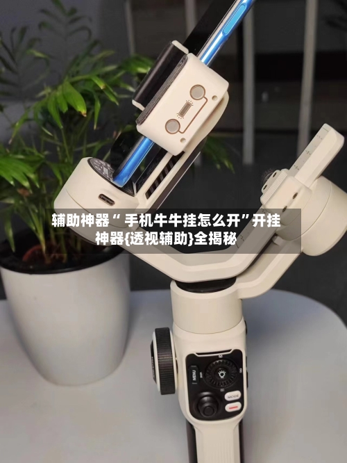 辅助神器“ 手机牛牛挂怎么开”开挂神器{透视辅助}全揭秘-第1张图片